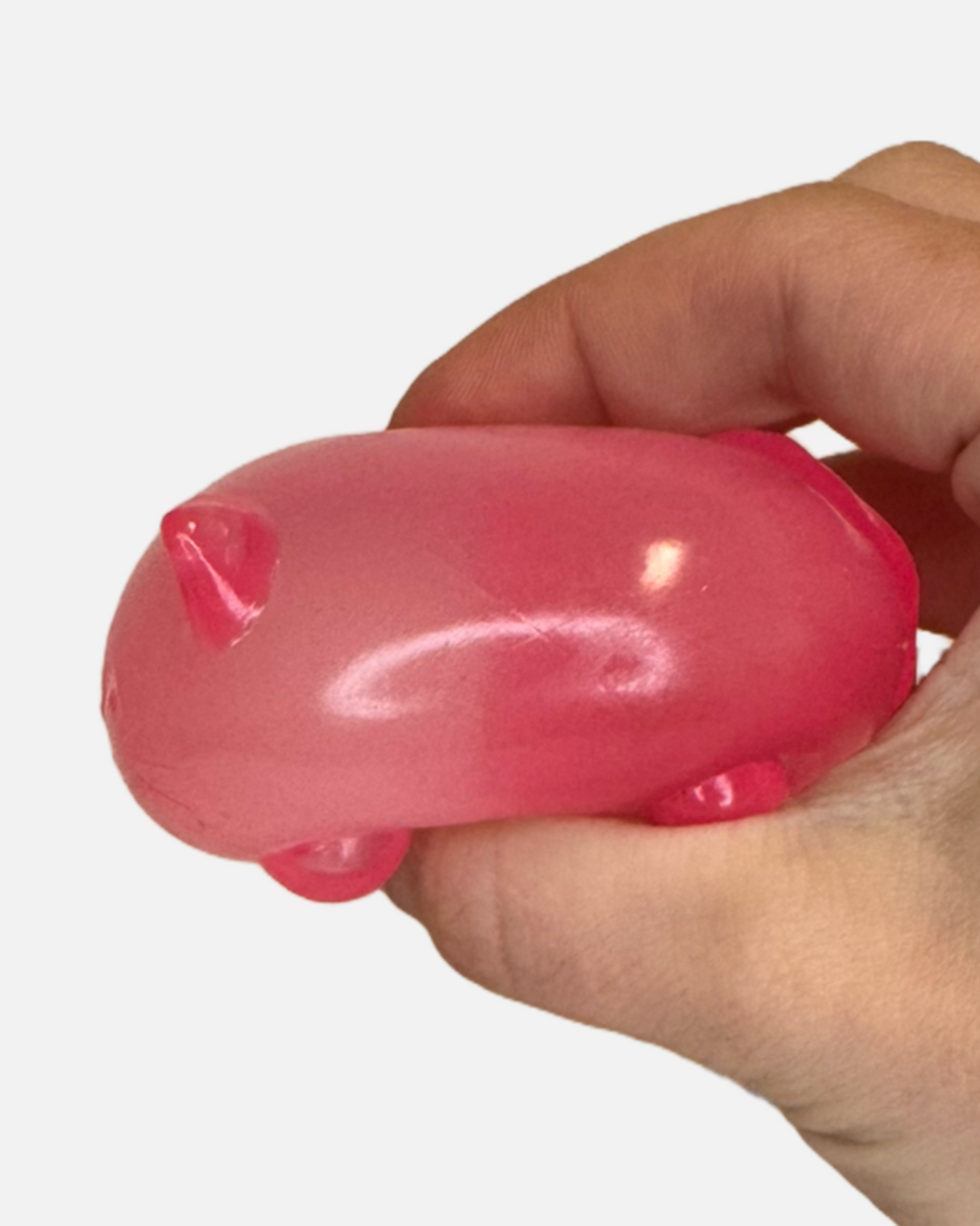 Cool Cat Squishy