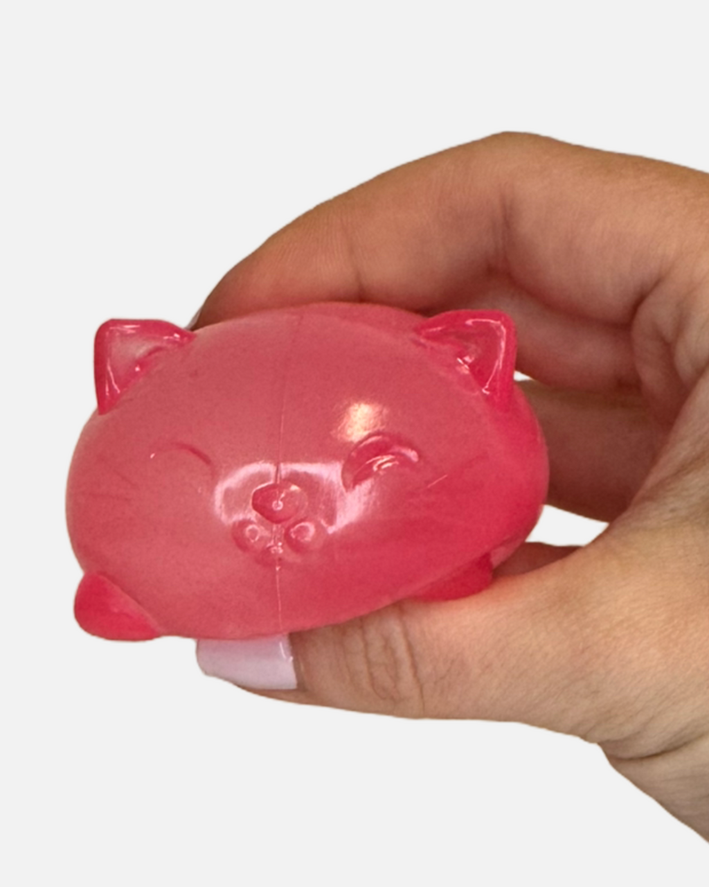 Cool Cat Squishy